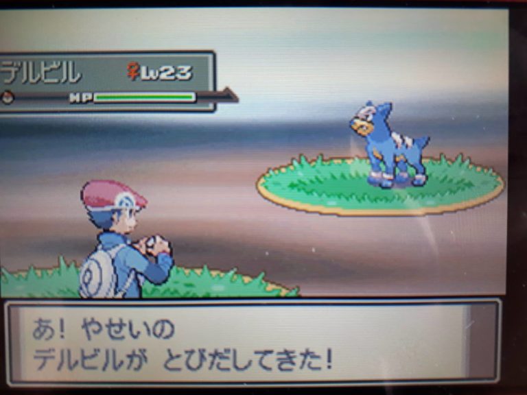 【ポケトレ実践：プラチナ】なんとも言えない色違いは素敵 塩＠わい的ポケ色廃人