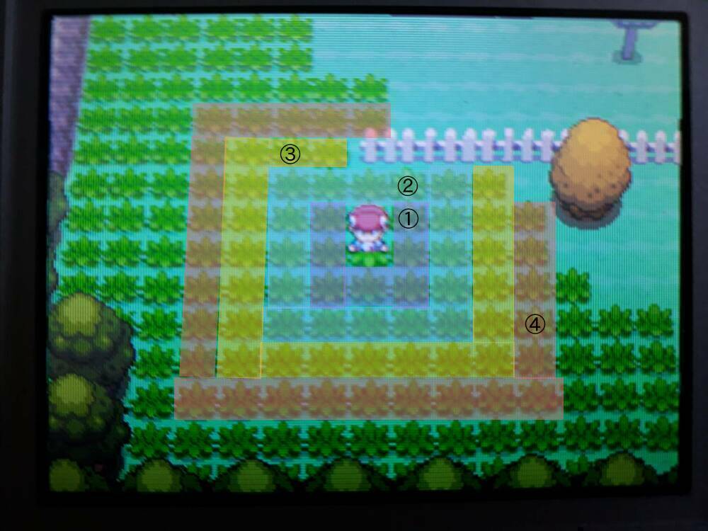 わい的第4世代ポケトレ講座 塩＠わい的ポケ色廃人