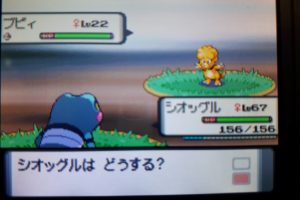 ポケトレ実践 プラチナ ストライク かまきりポケモンって知ってた 塩 わい的ポケ色廃人